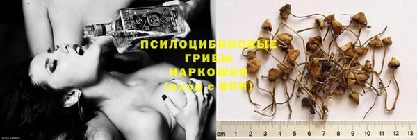 MESCALINE Осинники