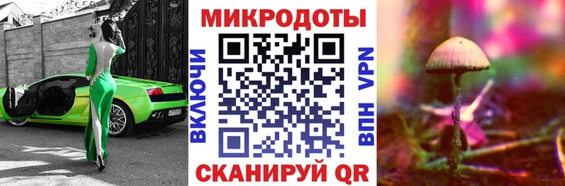 OMG   Ликино-Дулёво  сайты даркнета формула  Галлюциногенные грибы Cubensis 