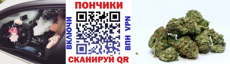 Конопля SATIVA & INDICA  где найти наркотики  Ликино-Дулёво 